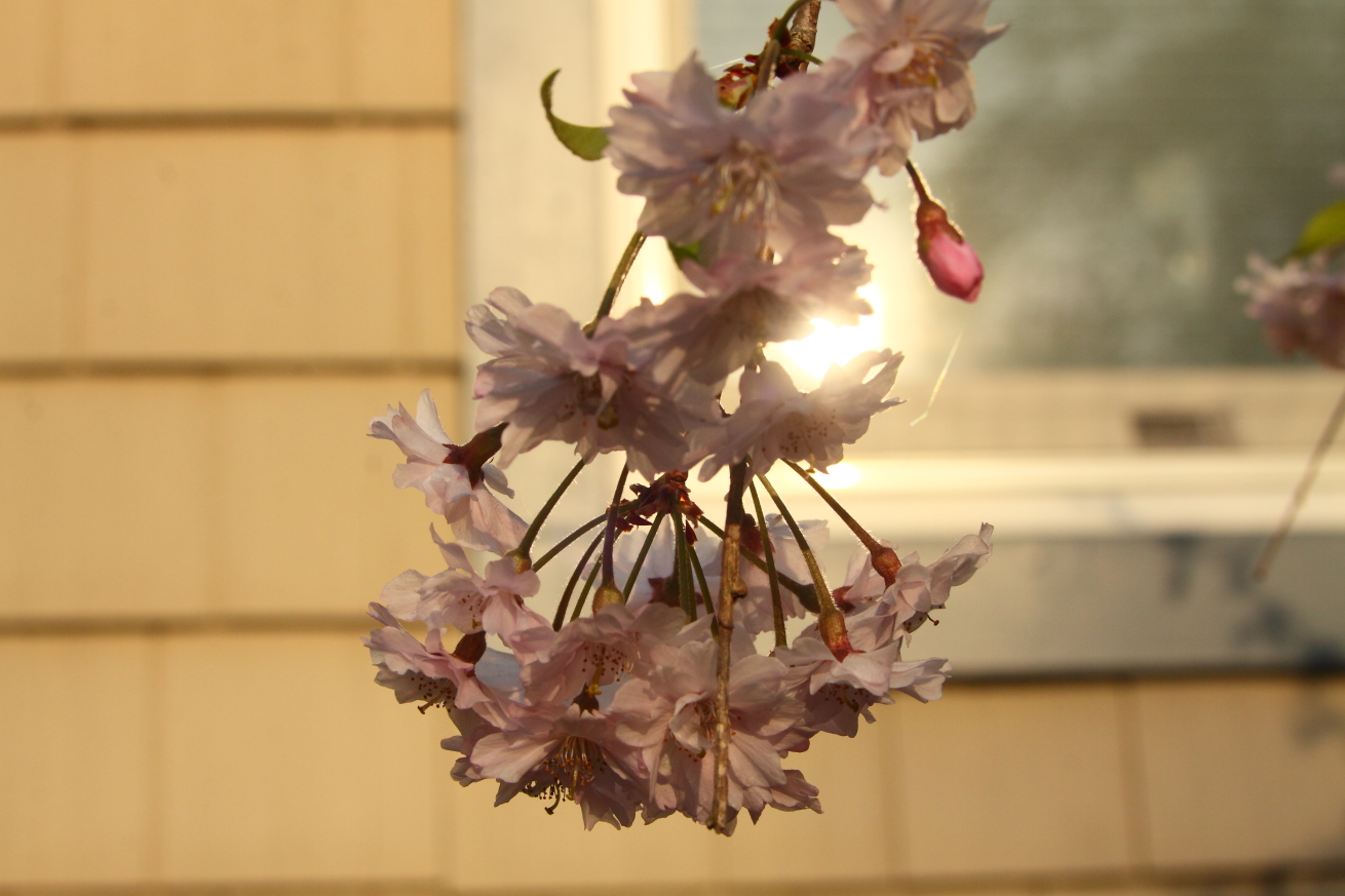 2015 05 04 HTP 000049354